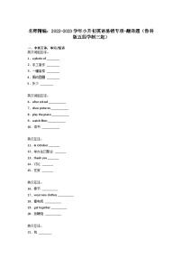 2022-2023学年小升初英语易错专项-翻译题（鲁科版五四学制三起）