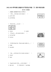 2022-2023学年浙江省温州市平阳县五年级（下）期中英语试卷（含解析）