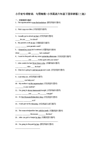 小升初专项特训：句型转换-小学英语六年级下册译林版（三起）