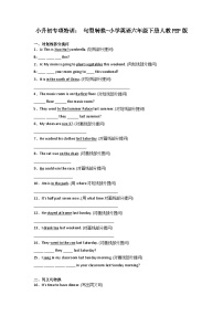 小升初专项特训：句型转换-小学英语六年级下册人教PEP版