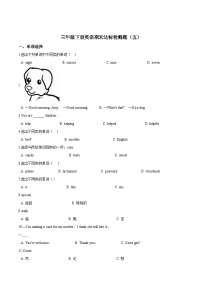 【期末复习】小学英语三年级下册期末模拟卷（五）人教PEP版（含答案）