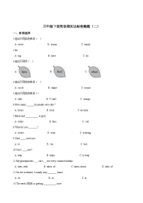 【期末复习】小学英语三年级下册期末模拟卷（二）外研版（三起）（含答案）