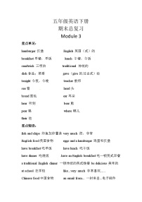 【期末复习】小学英语五年级下册单元复习精讲精练Module 3 外研版（三起）含答案