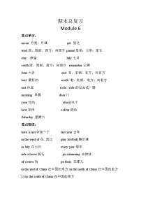 【期末复习】小学英语五年级下册单元复习精讲精练Module 6 外研版（三起）含答案