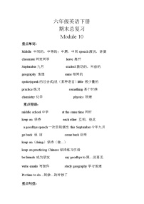 【期末复习】小学英语六年级下册单元复习精讲精练Module 10 外研版（三起）含答案