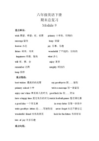 【期末复习】小学英语六年级下册单元复习精讲精练Module 9 外研版（三起）含答案