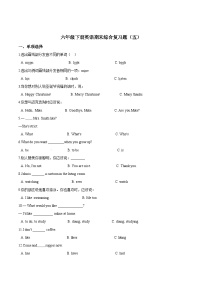 【期末复习】小学英语六年级下册期末模拟卷（五）人教PEP版（含答案）