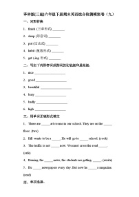 【期末复习】小学英语六年级下册 期末模拟卷（九） 译林版（三起）（含答案）