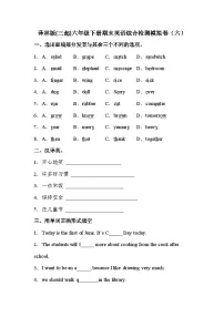 【期末复习】小学英语六年级下册 期末模拟卷(六) 译林版(三起)(含答案)