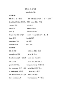 【期末复习】小学英语四年级下册单元复习精讲精练Module 10外研版（三起）含答案