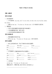 小学Unit 11 They’re lovely学案