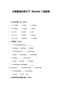 小学英语外研六下  Module 3测试卷及答案