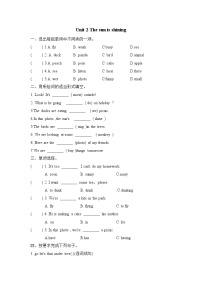 小学英语Module 3Unit 2 The sun is shining.课后作业题