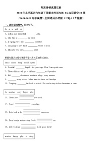 2023年小学英语六年级下册全国通用期末真题汇编（2021+2022）：06-选词填空50题（含答案）