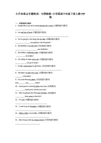 小升初重点专题特训：句型转换-小学英语六年级下册人教PEP版