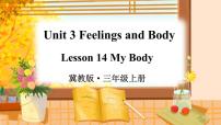 小学英语冀教版 (三年级起点)三年级上册Lesson 14 My Body示范课ppt课件