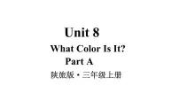 陕旅版三年级上册Unit 8 What color is it?教学演示课件ppt