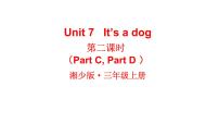 小学英语湘少版三年级上册Unit 7 it's a dog图文课件ppt