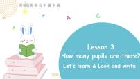 小学科普版Lesson 3 How many pupils are there?教学课件ppt