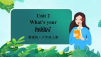 小学英语人教精通版六年级上册Unit 2 What's your hobby?Lesson 8说课ppt课件