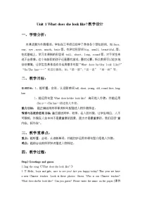 湘少版五年级上册Unit 1 What does she look like?教案