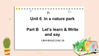 小学英语人教版 (PEP)五年级上册Unit 6 In a nature park Part B获奖ppt课件