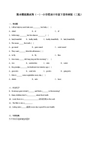 期末模拟测试卷（一）-小学英语六年级下册译林版（三起）