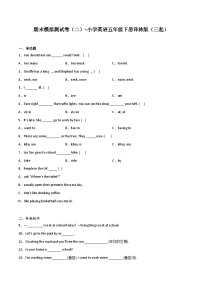 期末模拟测试卷（二）-小学英语五年级下册译林版（三起）