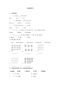 期末模拟练习（试题）人教PEP版英语三年级下册