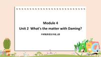 外研版 (三年级起点)五年级上册Unit 2 What’s the matter with Daming?完美版教学ppt课件