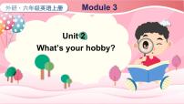 外研版 (三年级起点)六年级上册Module 3Unit 2 What’s your hobby?教课内容ppt课件