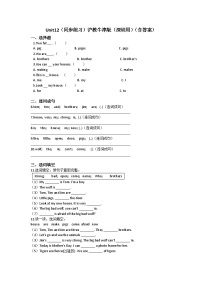 小学英语沪教牛津版(六三制一起)三年级下册unit1 Colours精品课时作业