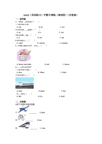 小学英语沪教牛津版(六三制一起)三年级下册unit3 Sounds精品同步达标检测题