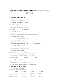 小学英语沪教牛津版(六三制一起)三年级下册unit1 Colours精品当堂检测题