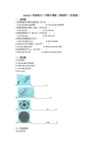 小学英语沪教牛津版(六三制一起)二年级下册Unit 1 What can you see?精品综合训练题