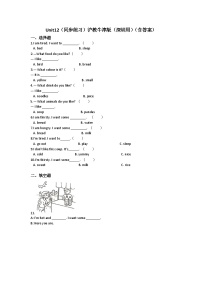 英语二年级下册Unit 1 What can you see?优秀测试题