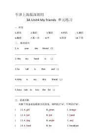 小学英语沪教牛津版(六三制一起)三年级上册unit 4 My friends优秀课时训练