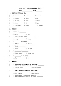 小学英语Unit 4 Spring精品综合训练题