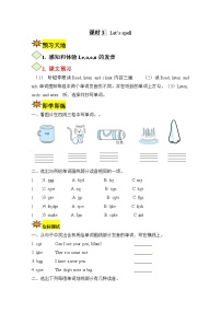 【讲练测】四年级上册英语讲义-Unit 6 Meet my family第三课时 人教PEP（含答案）