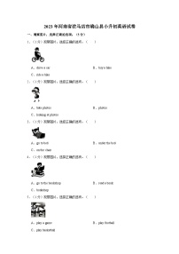 2022-2023学年河南省驻马店市确山县小升初英语试卷（含答案解析）