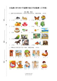 湖北省武汉市江夏区文化路小学2022-2023学年三年级下学期期中英语检测