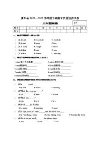 (教研室)河南省周口市沈丘县2022-2023学年六年级下学期期末教学质量监测英语试题