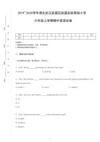 2019-2020学年湖北省武汉市武昌实验寄宿小学六年级上学期期中英语试题