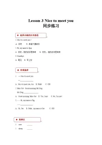 科普版三年级上册Lesson 3 Nice to meet you精品课时训练