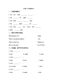 小学英语外研剑桥版三年级上册Unit 2 Numbers优秀复习练习题