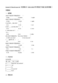 三年级上册Lesson 1 I am a cat优秀习题