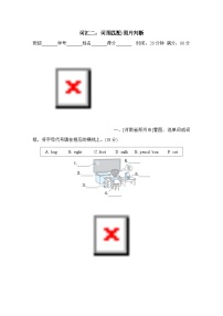 期末复习  词汇（试题）人教PEP版英语三年级上册