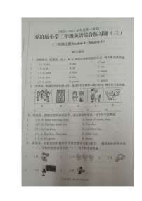 海南省海口市部分校2022-2023学年三年级上学期期中英语综合练习题