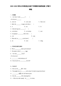 2022-2023学年小学英语五年级下学期期中素养检测卷+沪教牛津版