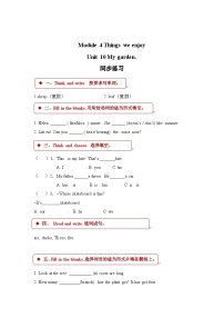 小学英语沪教牛津版(六三制三起)四年级下册Unit10 My garden巩固练习